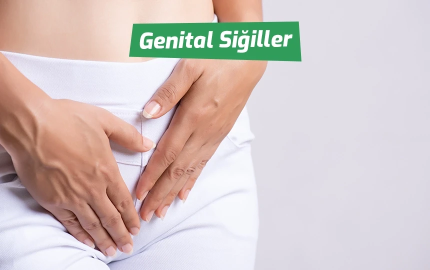 Genital Siğiller