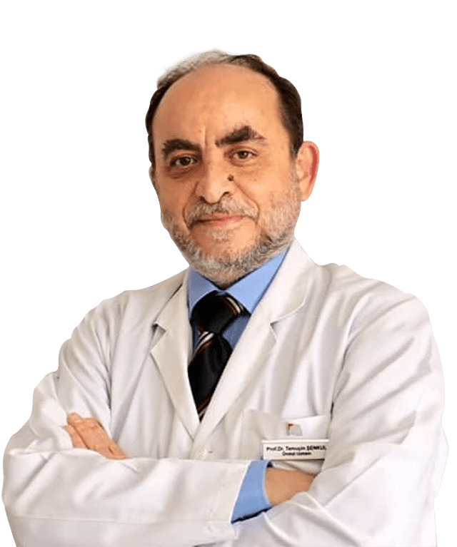Prof. Dr. Temuçin Şenkul