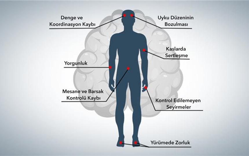 Yaşlılık ve Unutkanlık